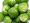 brussels sprouts 200x150 1