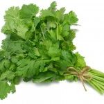 cilantro 200x150 1  mirabile md - cilantro 200x150 1