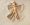 trusculpt 3d woman sand angel mirabile md