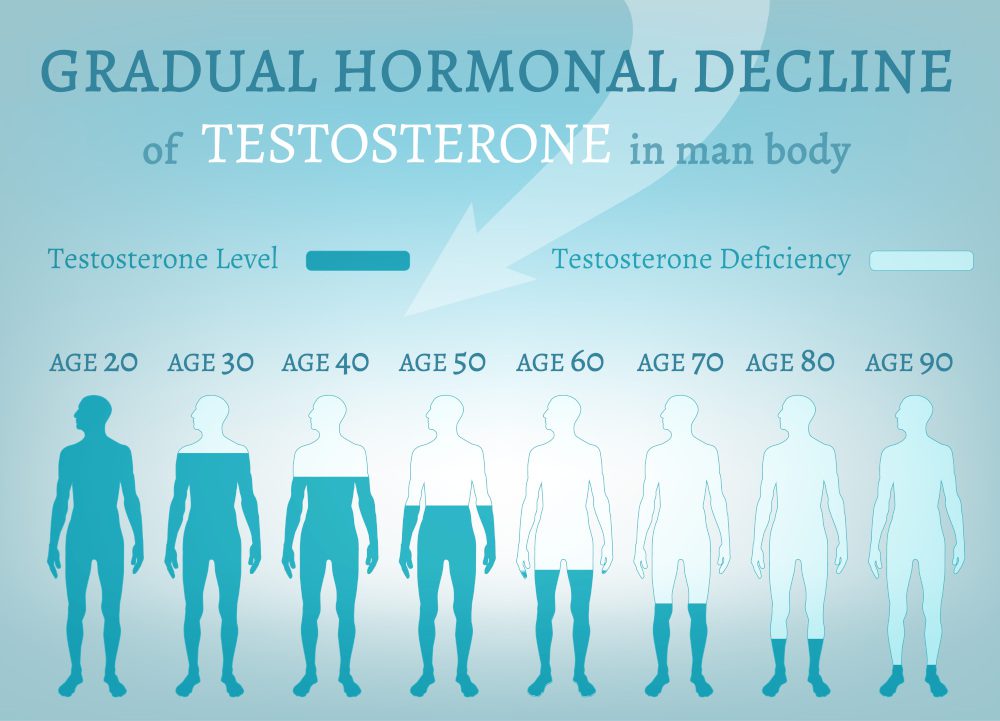 testoster one hormonel
