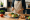 plate of grilled chicken, rice, and fresh vegetables being prepared in a kitchen.