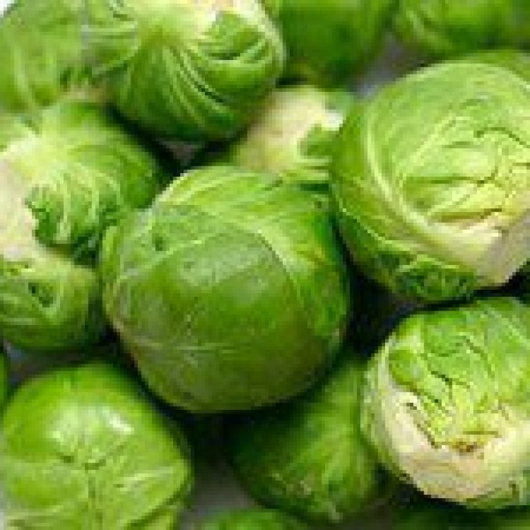 brussels sprouts 200x150 1